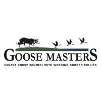 Goose Masters - Charlotte image 1